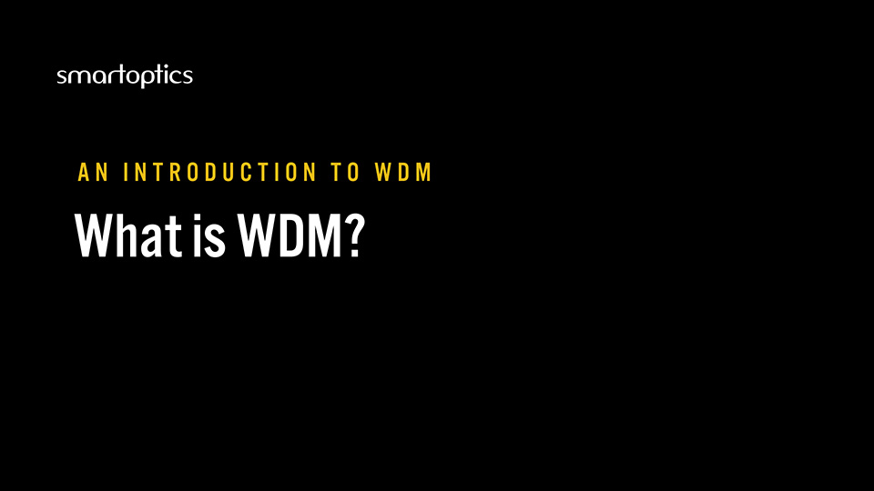 What is WDM video thumbnail