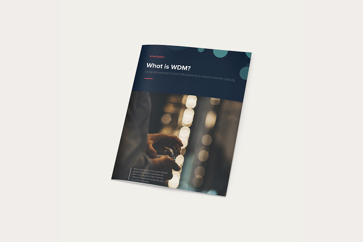 Download the guide to learn everything about WDM